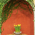 Serene Garden Alcove